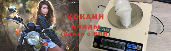 прущие грибы Покров