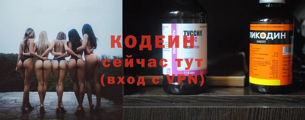 СК Пересвет