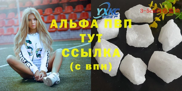 прущие грибы Покров