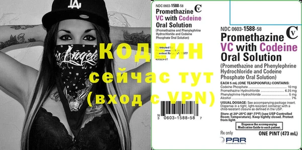 прущие грибы Покров