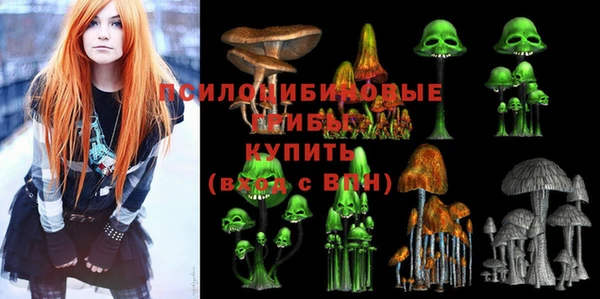 СК Пересвет