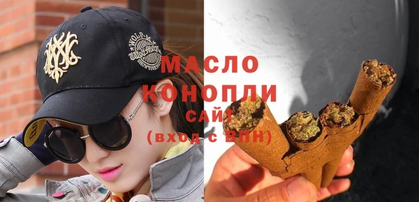 СК Пересвет