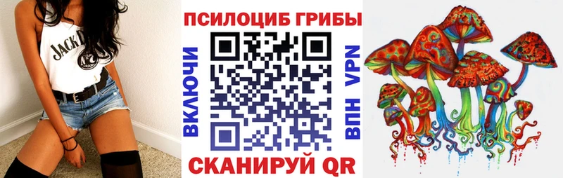 цены наркотик  Березники  Псилоцибиновые грибы Psilocybe 