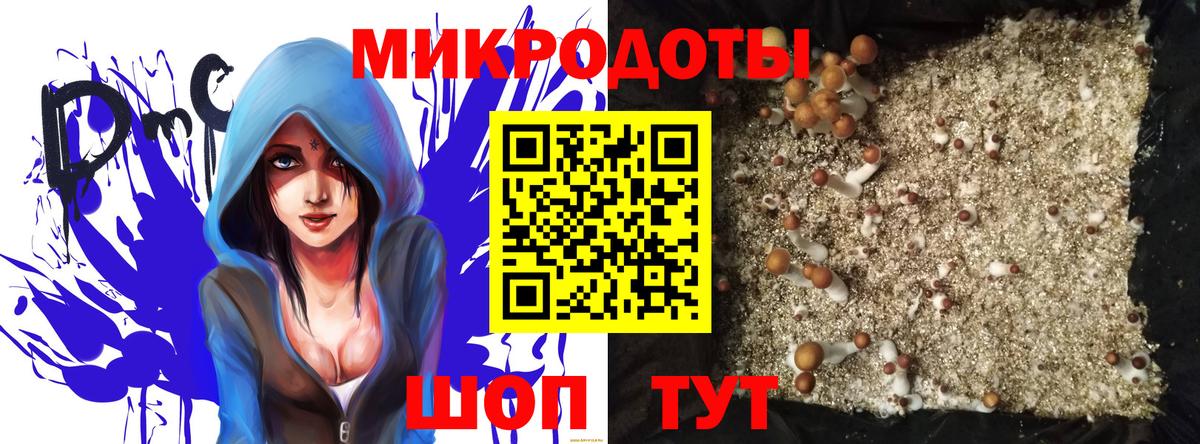 Псилоцибиновые грибы GOLDEN TEACHER  Галлюциногенные грибы Magic Shrooms  Вход с VPN  Березники 
