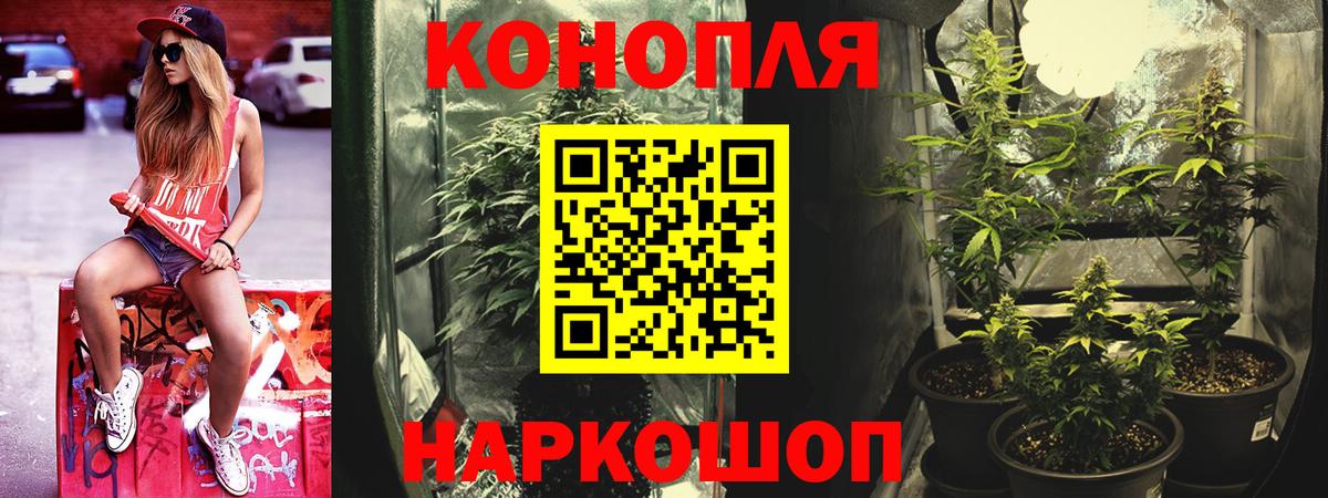 МАРИХУАНА MAZAR  Вход с VPN  Березники  Шишки марихуана гибрид  Марихуана тримм 